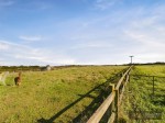 Images for Dunnington, Driffield