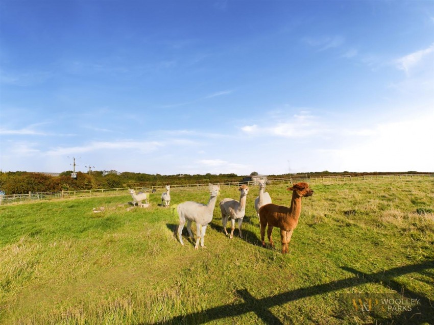 Images for Dunnington, Driffield EAID:wooleyapi BID:1