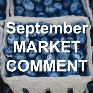 September 2018 Market Comment