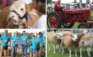 Driffield Show 